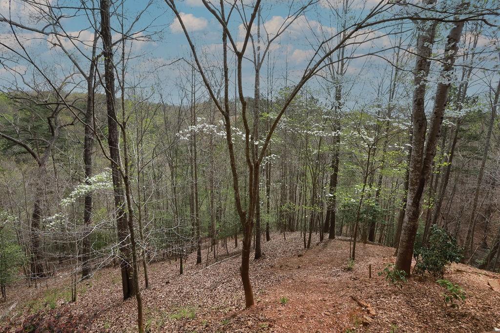 120 Bear Den Road Dahlonega, GA 30533 - Photo 54 of 67