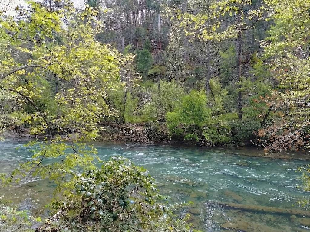 120 Bear Den Road Dahlonega, GA 30533 - Photo 6 of 67