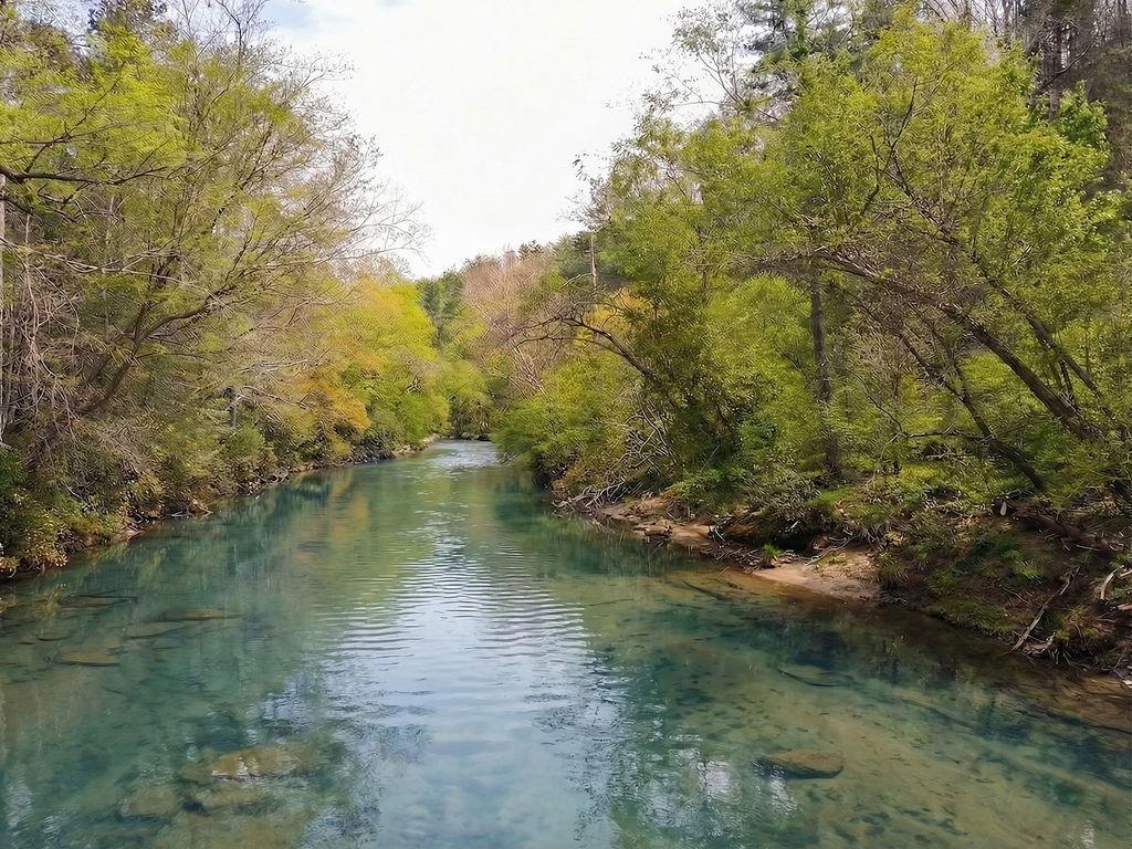 120 Bear Den Road Dahlonega, GA 30533 - Photo 62 of 67