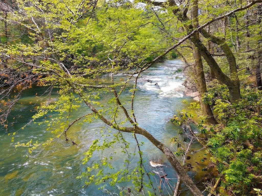 120 Bear Den Road Dahlonega, GA 30533 - Photo 63 of 67