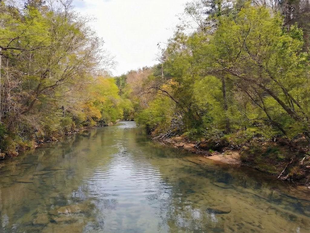 120 Bear Den Road Dahlonega, GA 30533 - Photo 9 of 67