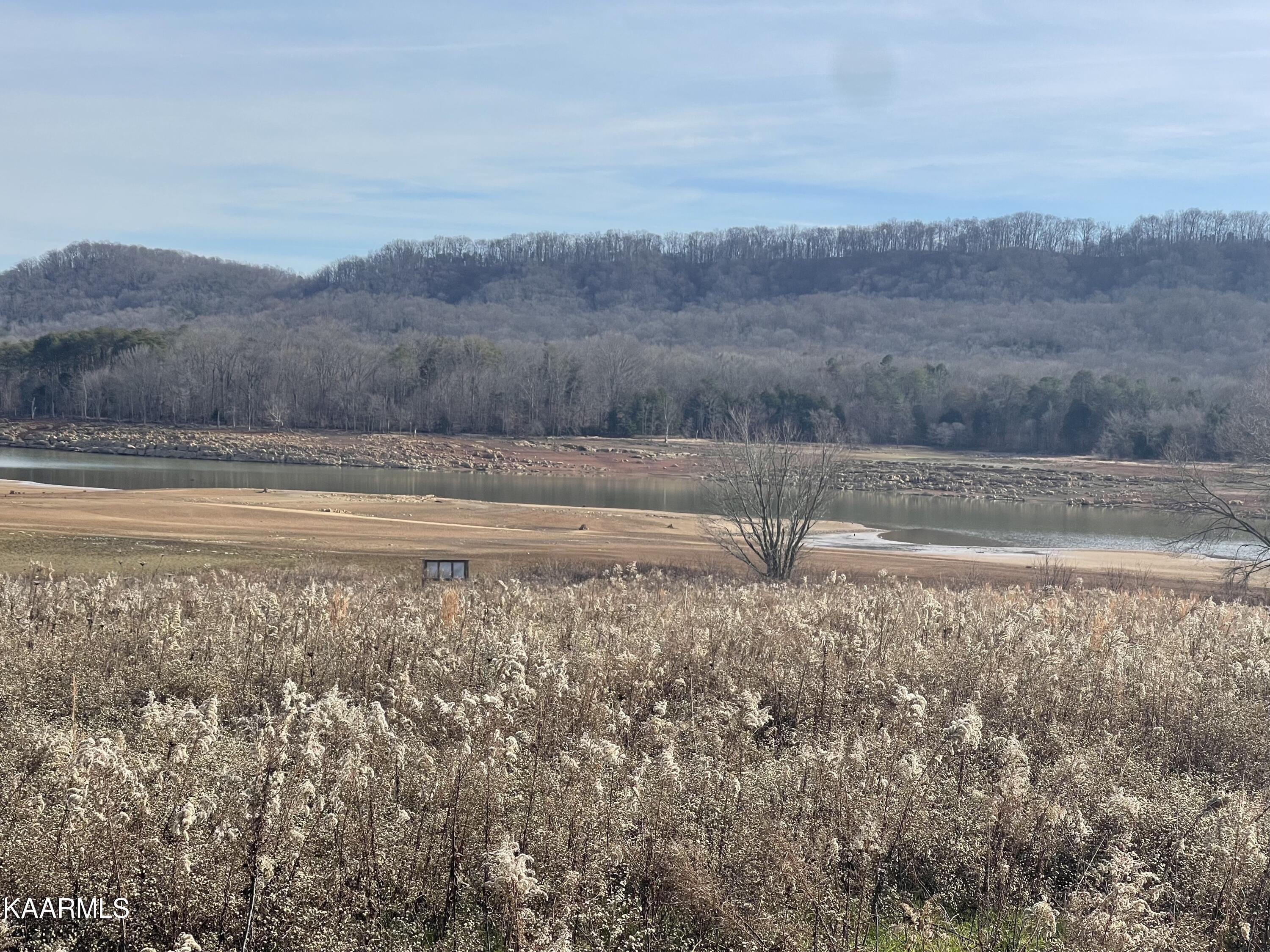 Masters Lane Bean Station, TN 37708 - Photo 11 of 15 IMG_4005