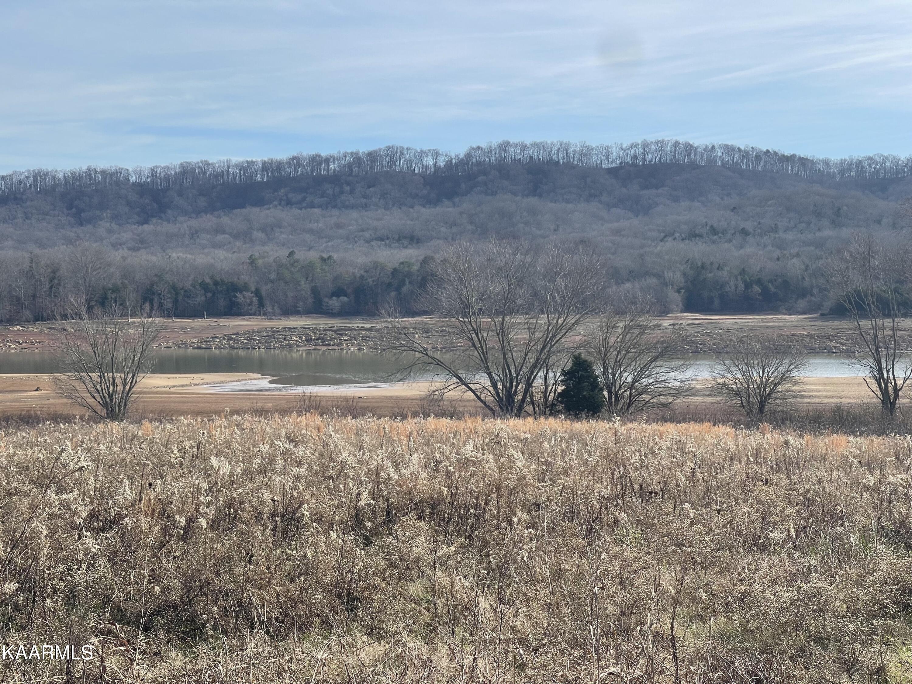 Masters Lane Bean Station, TN 37708 - Photo 12 of 15 IMG_4006