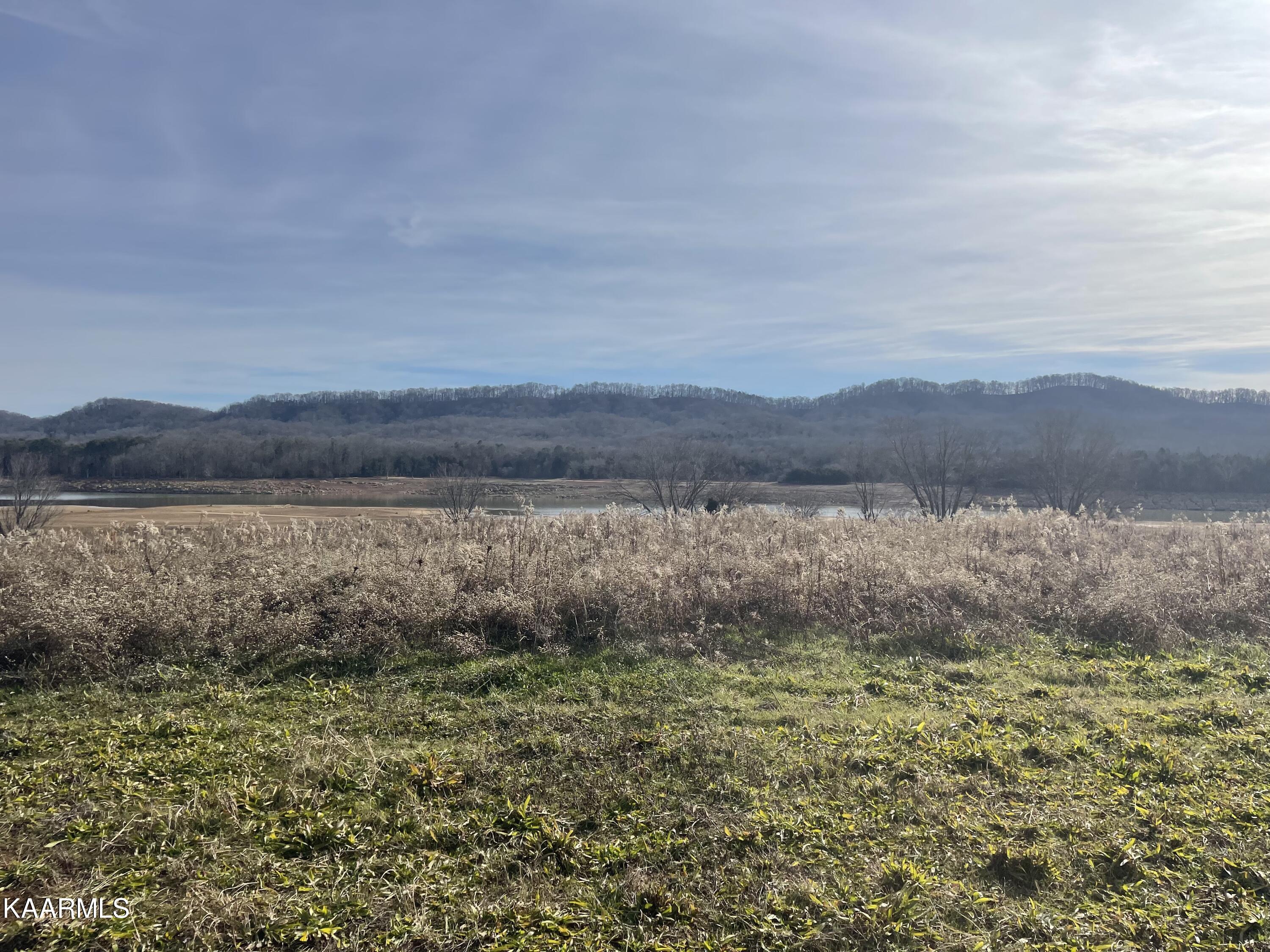 Masters Lane Bean Station, TN 37708 - Photo 7 of 15 IMG_4001