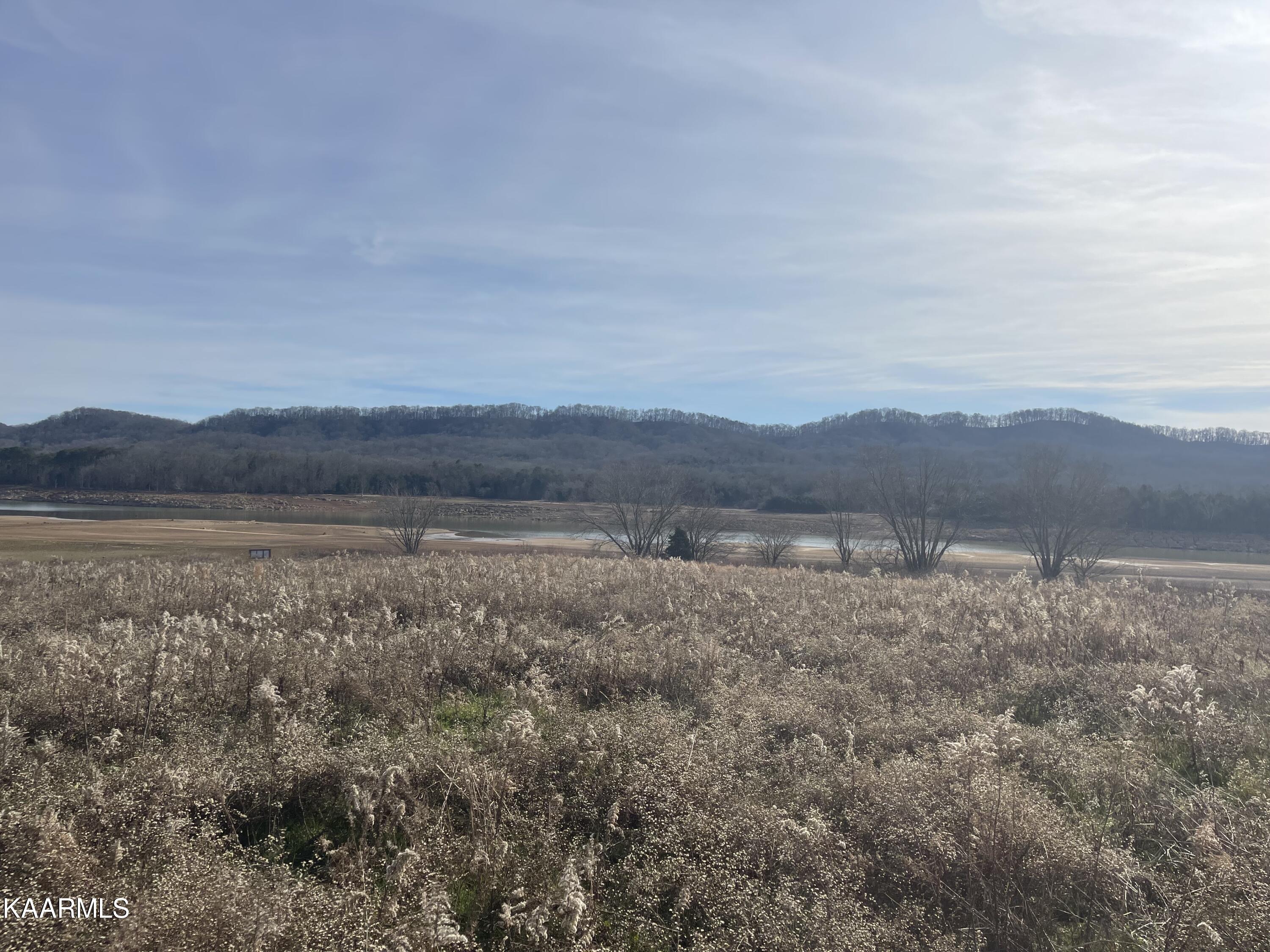 Masters Lane Bean Station, TN 37708 - Photo 9 of 15 IMG_4003