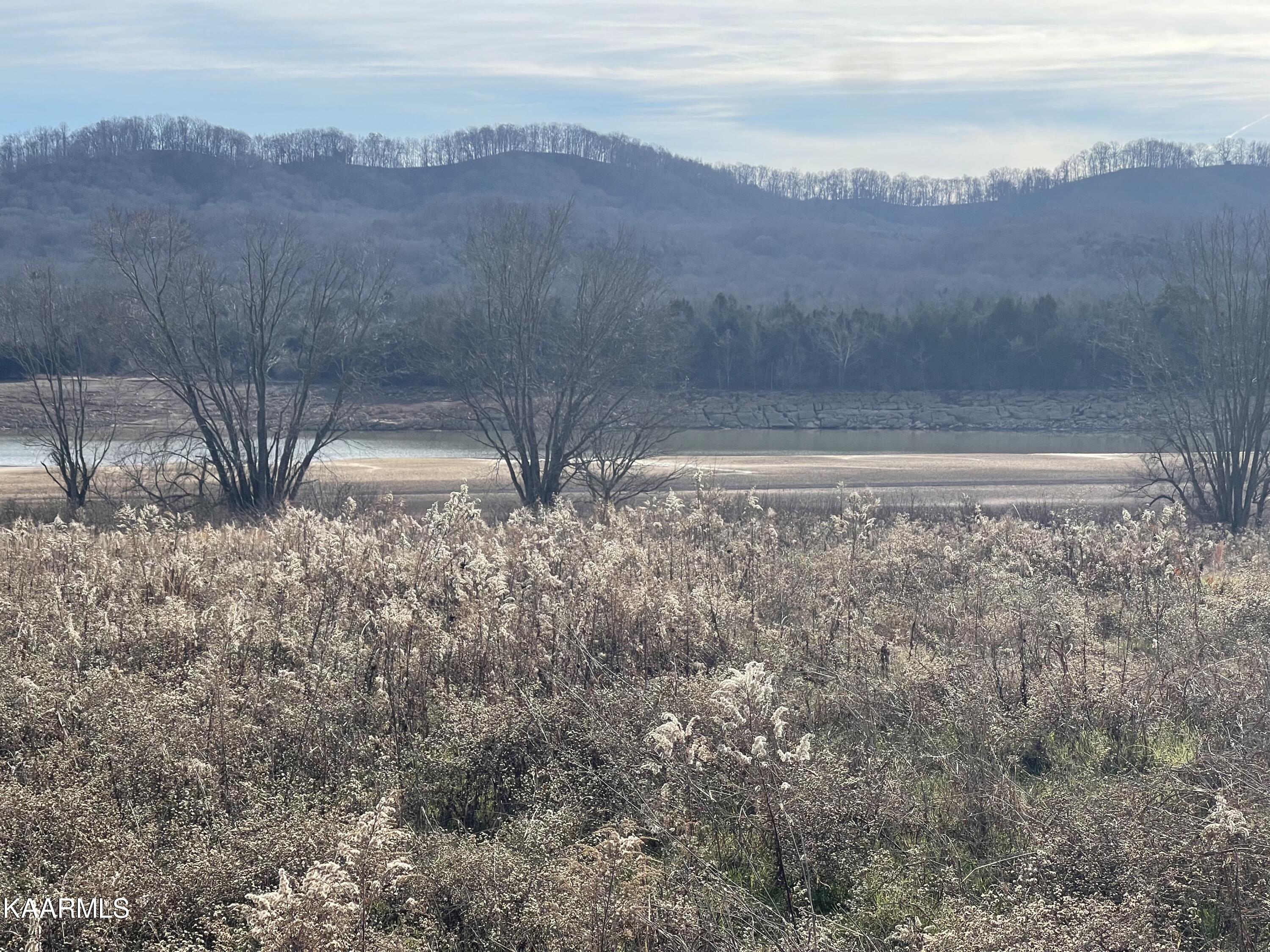 Masters Lane Bean Station, TN 37708 - Photo 10 of 15 IMG_4004