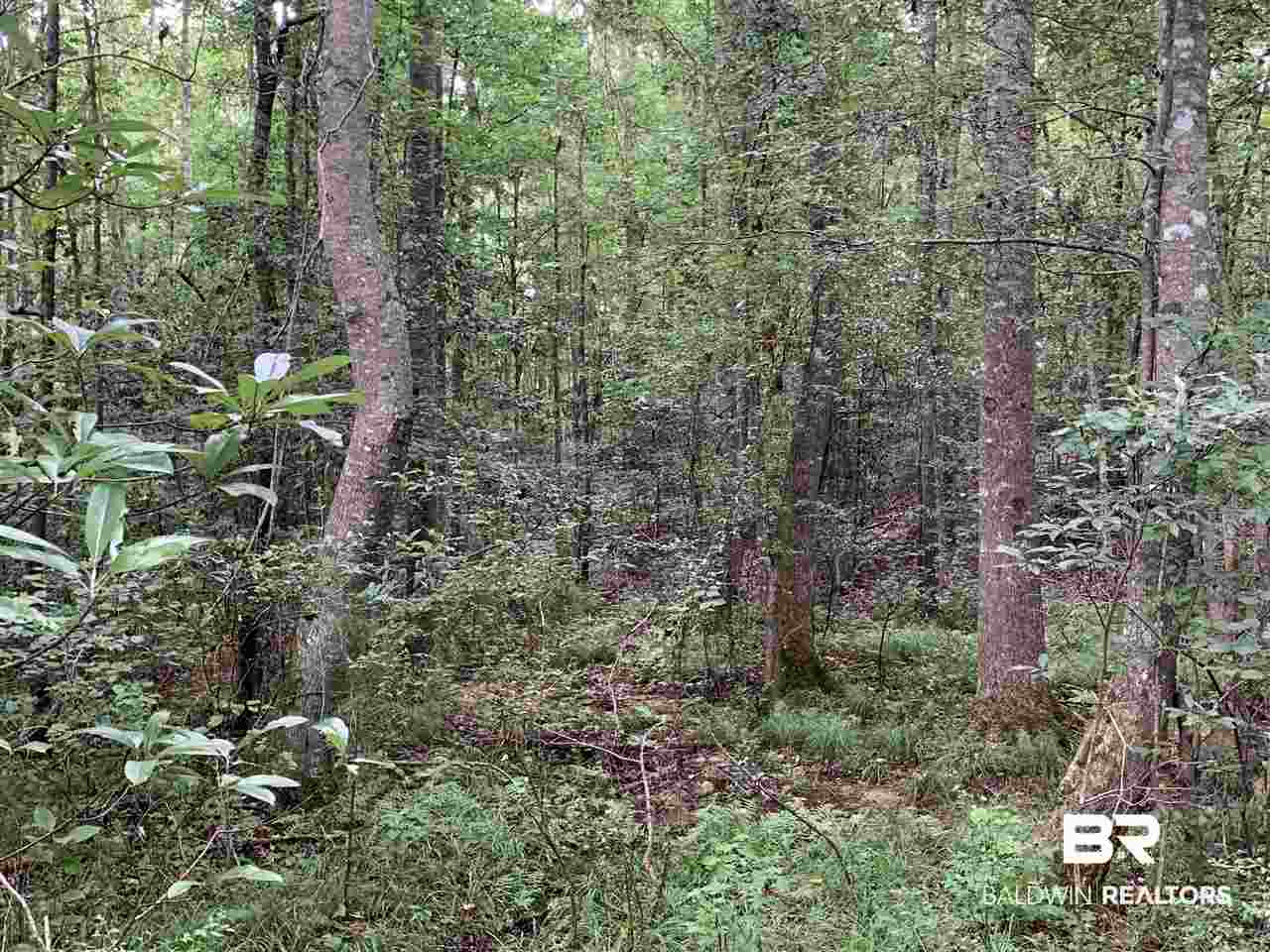 1178 Dry Lake Road Luverne, AL 36049 - Photo 29 of 50