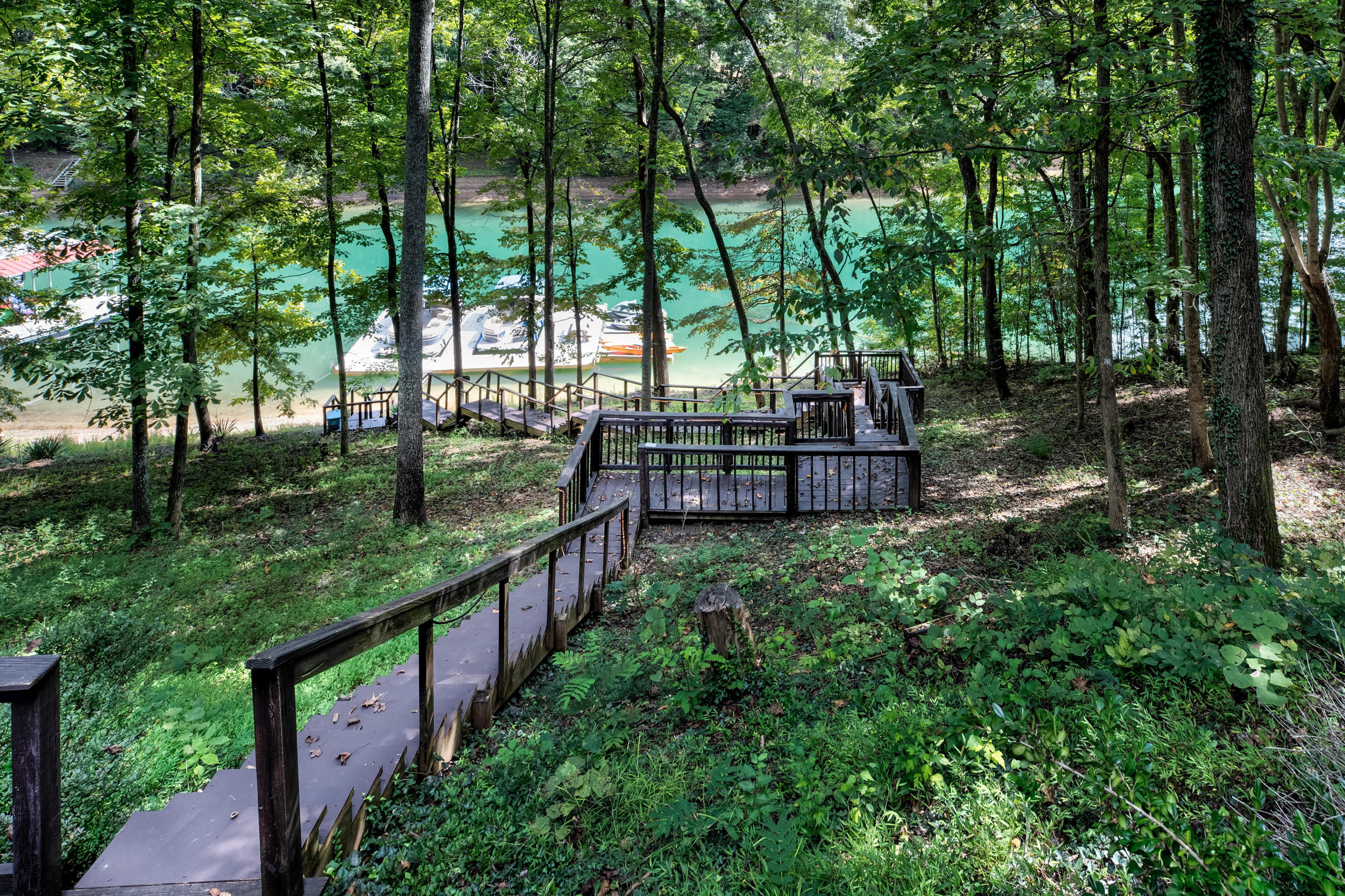 1287 Cove Pointe Road La Follette, TN 37766 - Photo 25 of 38 1287 Cove Pointe Rd-6