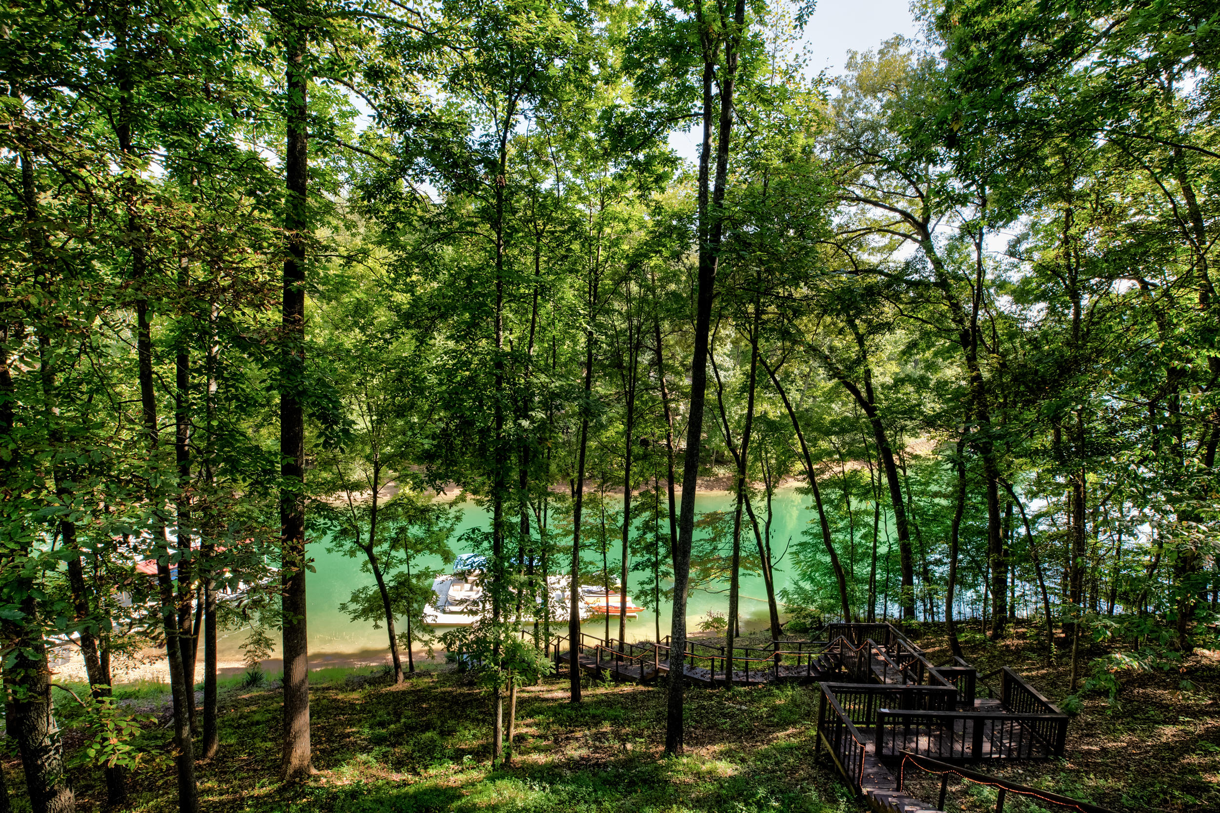 1287 Cove Pointe Road La Follette, TN 37766 - Photo 38 of 38 1287 Cove Pointe Rd-30