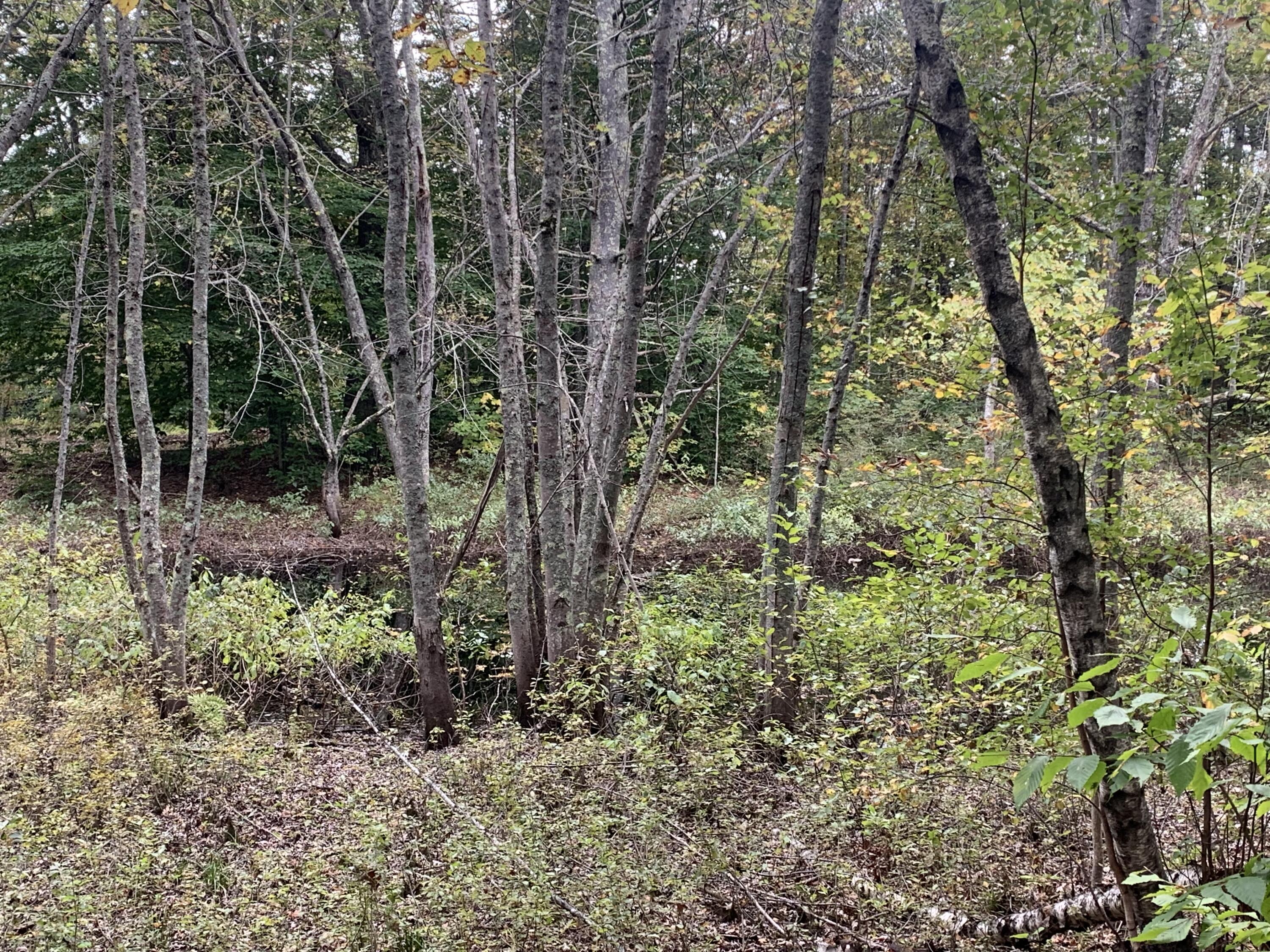290 Fish Street Fryeburg, ME 04037 - Photo 38 of 39 Water