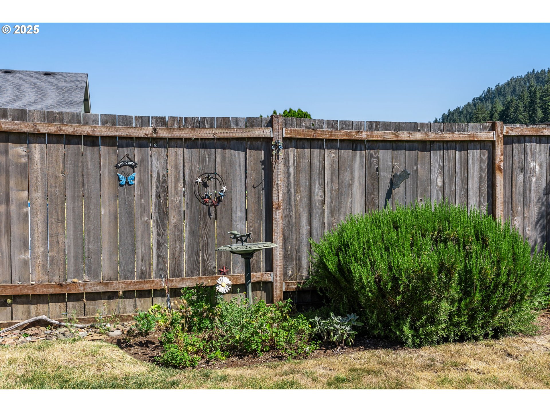 1933 South 58th Street Springfield, OR 97478 - Photo 30 of 32 a view of a backyard with potted plants
