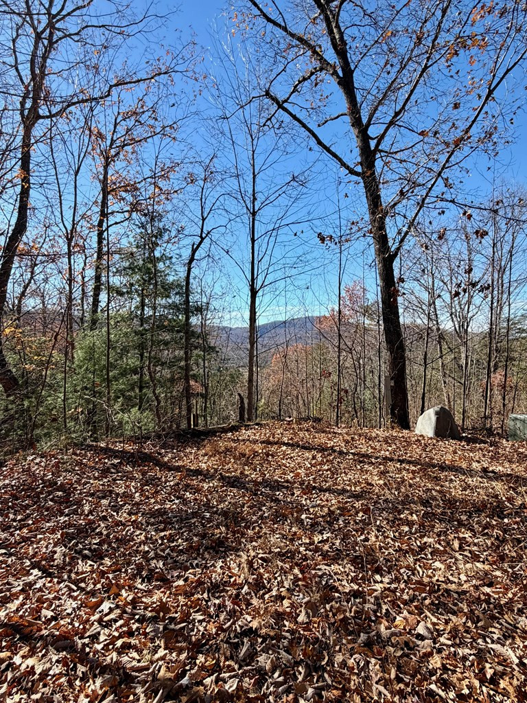 Lot 15 View Ridge Trail Murphy, NC 28906 - Photo 9 of 11