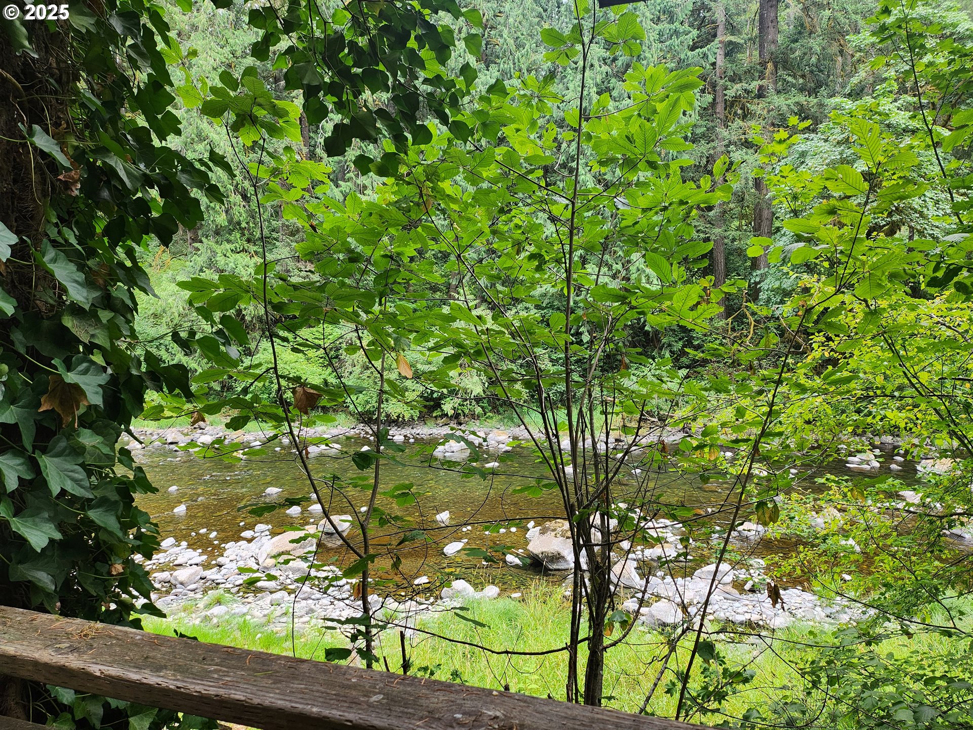 19601 Northeast Lucia Falls Road Yacolt, WA 98675 - Photo 8 of 9