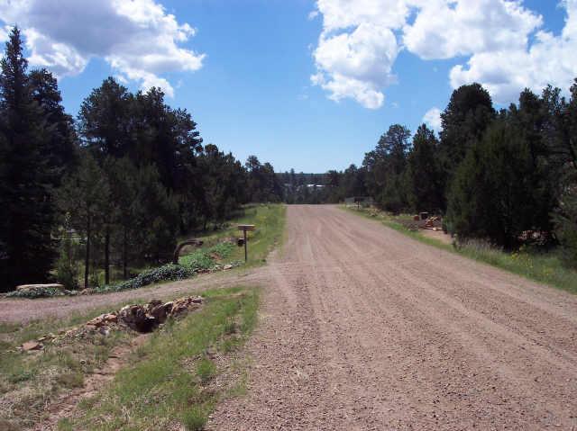 3527 Quail Run Overgaard, AZ 85933 - Photo 6 of 6 Additional Photo