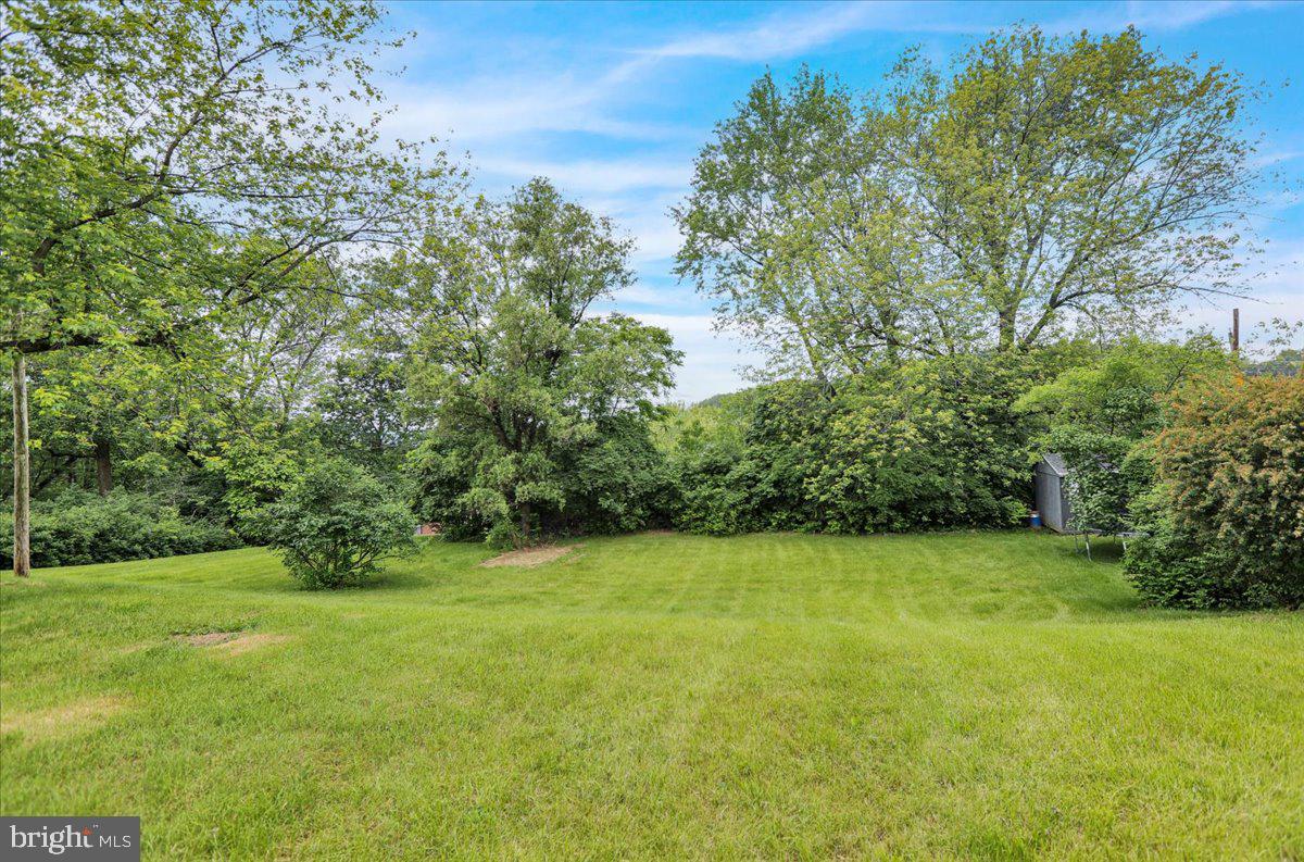 2304 Alsace Road Reading, PA 19604 - Photo 6 of 38 a view of a green field with lots of bushes