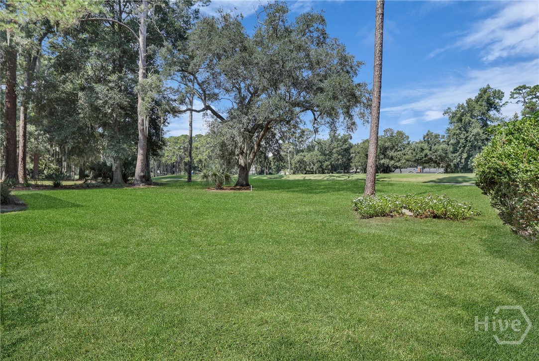 38 Monastery Road Savannah, GA 31411 - Photo 39 of 53