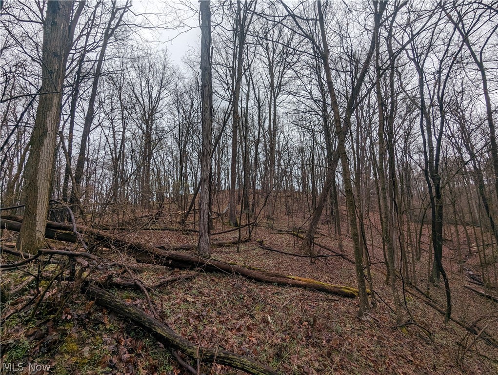 Overture Road Northeast Mechanicstown, OH 44651 - Photo 17 of 23 Gallery Image 17