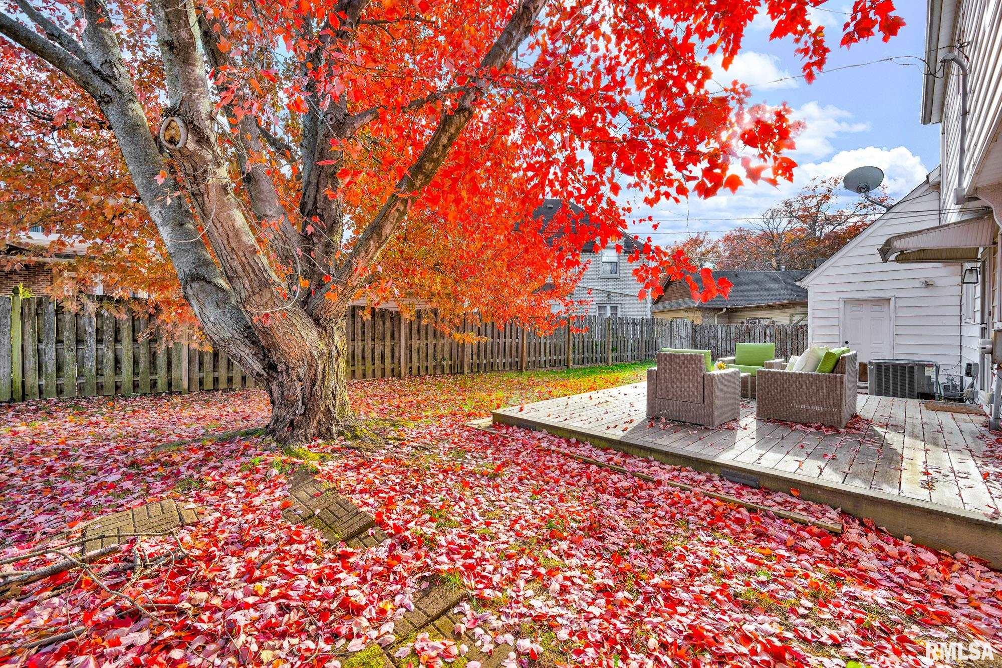 228 North Kickapoo Terrace Peoria, IL 61604 - Photo 30 of 50