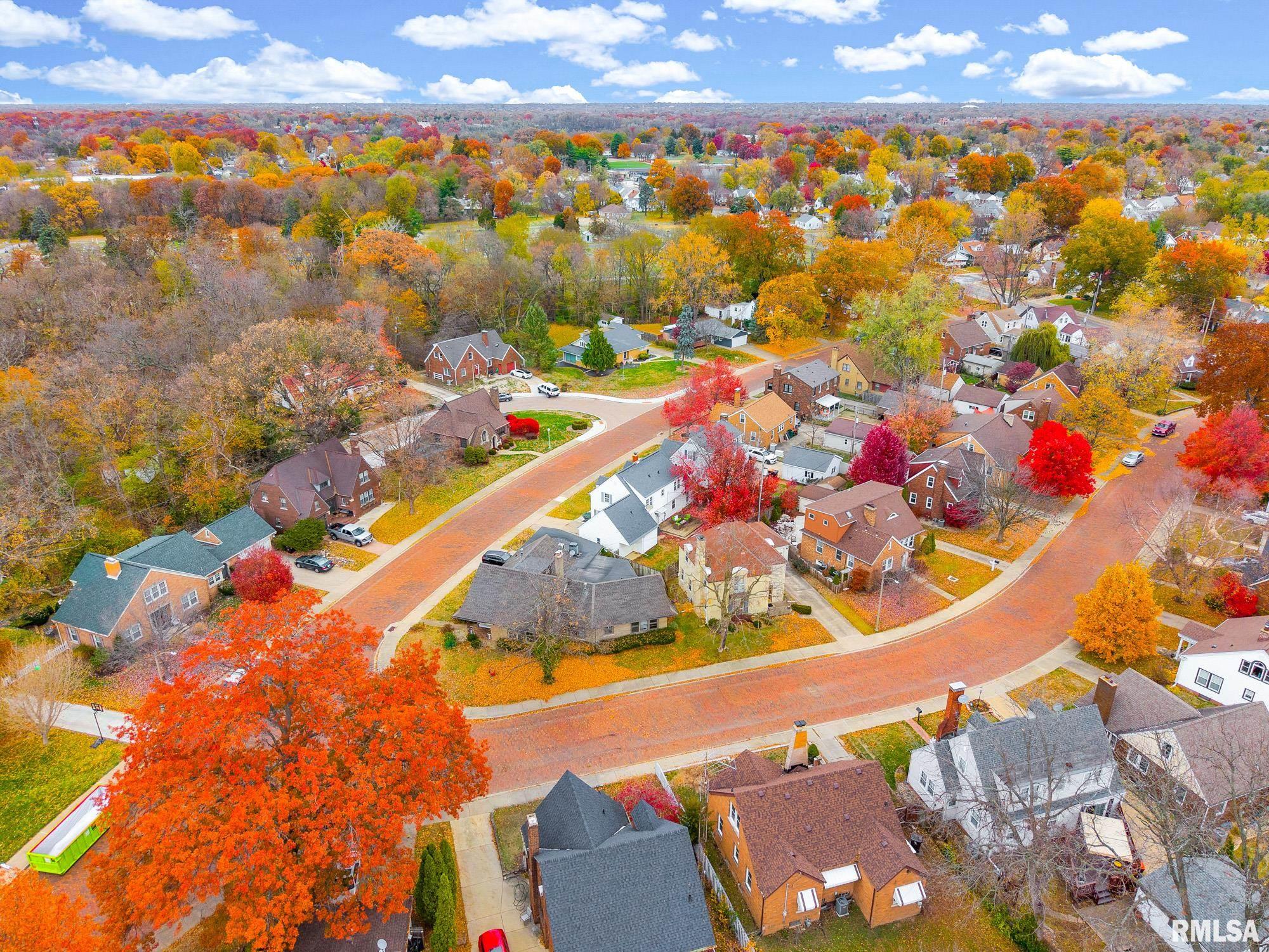 228 North Kickapoo Terrace Peoria, IL 61604 - Photo 33 of 50