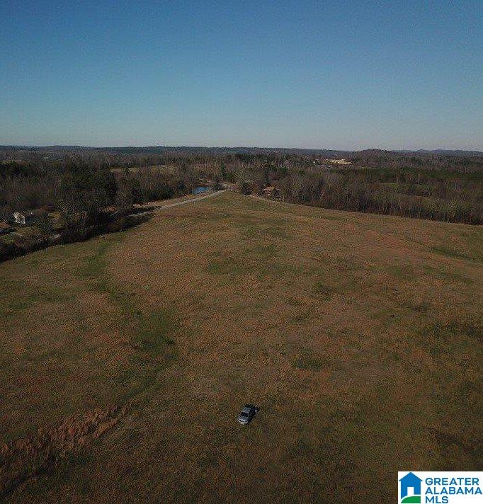 0 Posey Road, Unit TRACT 3 Blountsville, AL 35031 - Photo 4 of 6