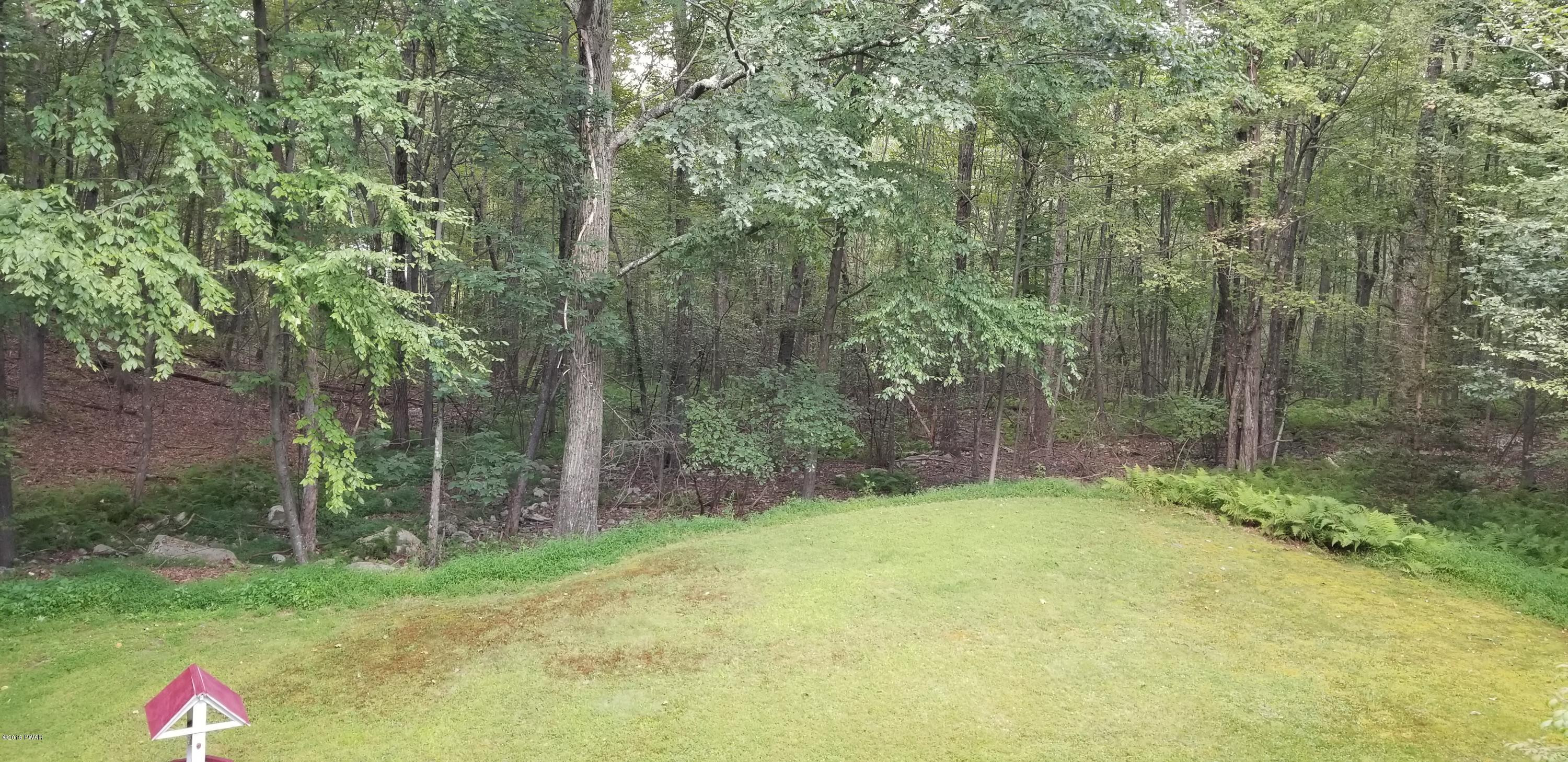 110 Ritz Drive Dingmans Ferry, PA 18328 - Photo 21 of 21 26. Side Yard