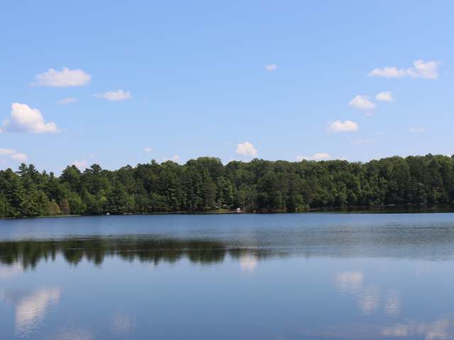 4750 Currie Lake Road Harshaw, WI 54529 - Photo 9 of 20 Gallery Image 9