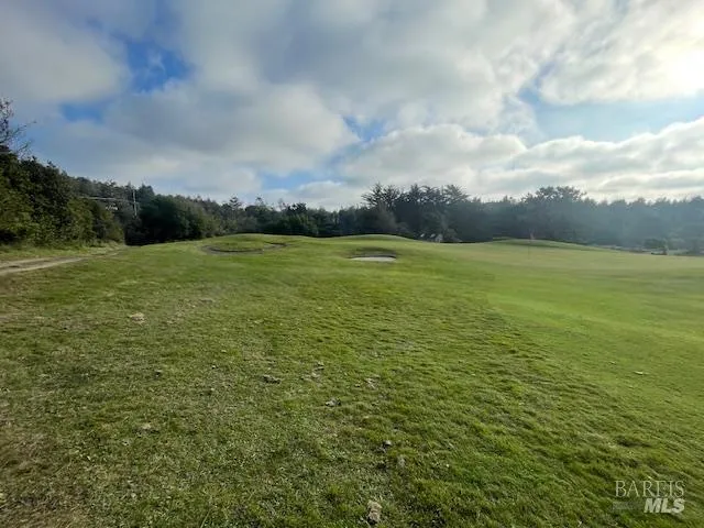a view of a park with large trees
