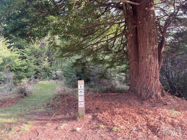 237 Badger The Sea Ranch, CA 95497 - Photo 12 of 18 Nearby Badger Trail heads east up through Redwoods and to the children's playwark, or west toward the ocean and Gualala Point Beach.