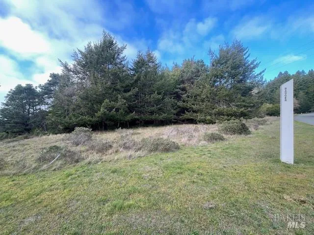 a view of lake with green space