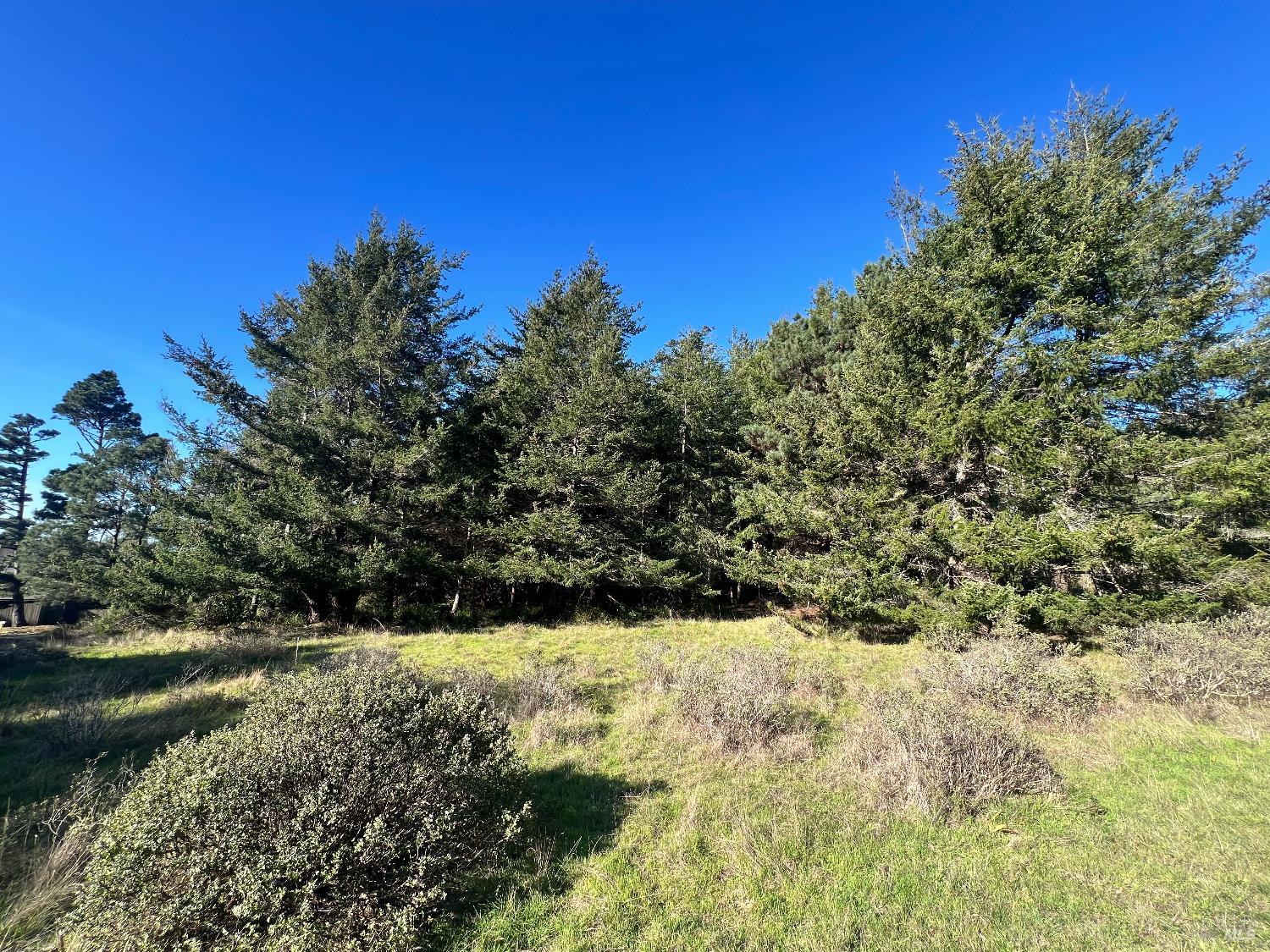 237 Badger The Sea Ranch, CA 95497 - Photo 4 of 18