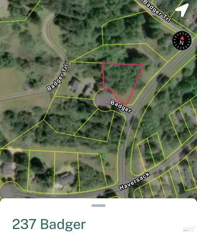 a view of a bunch of trees and bushes