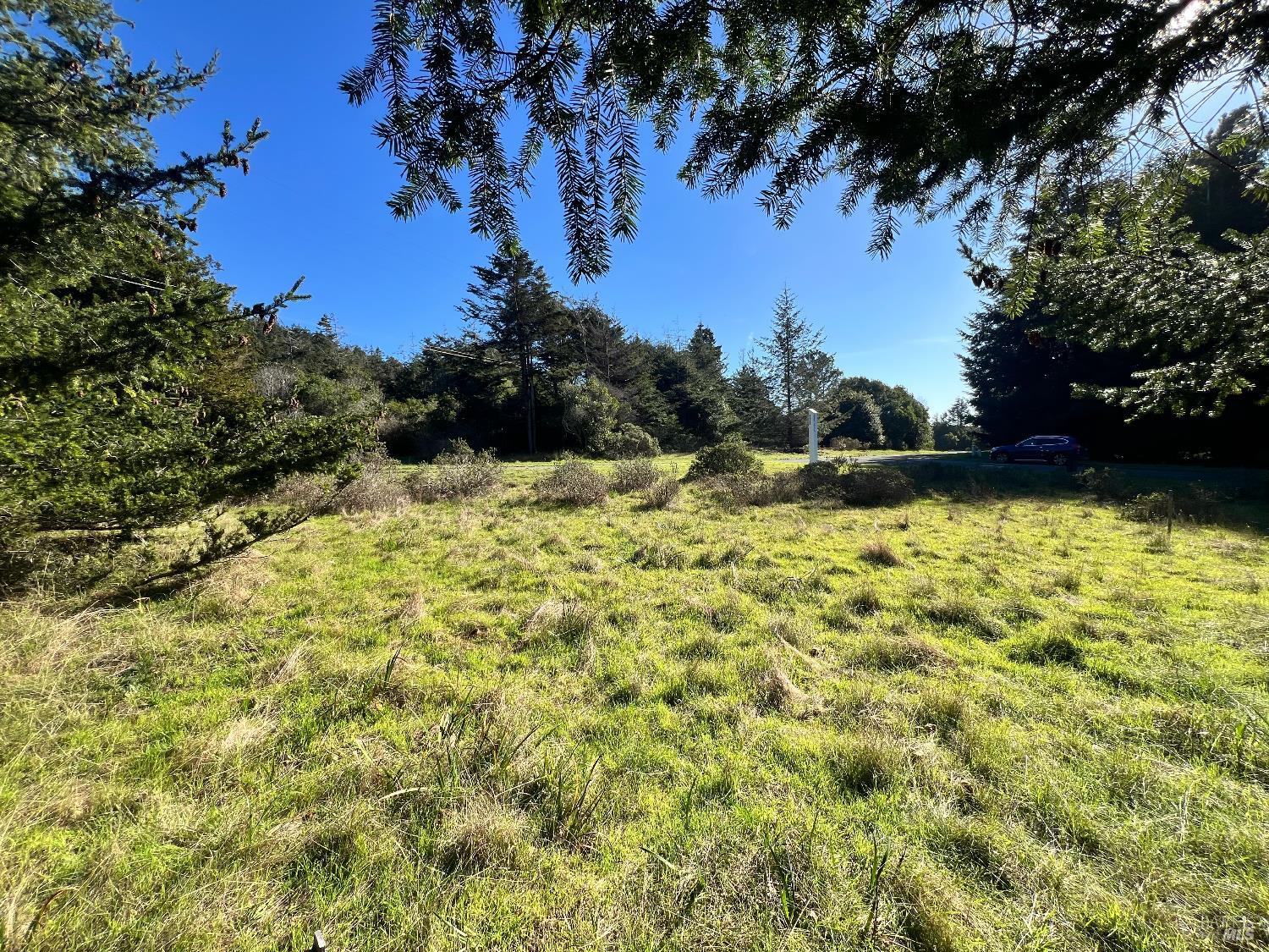 237 Badger The Sea Ranch, CA 95497 - Photo 7 of 18