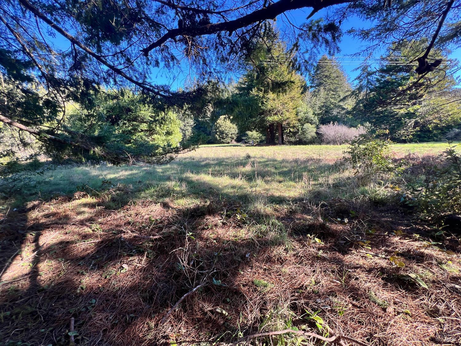237 Badger The Sea Ranch, CA 95497 - Photo 8 of 18