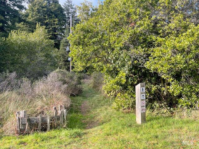 237 Badger The Sea Ranch, CA 95497 - Photo 10 of 18 The Badger Trail is on the north side of this lot...heading west to the beach/ocean or east through Redwoods and to the nearby children's play-park.