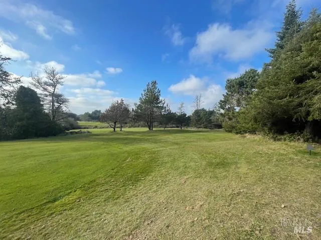 a view of an ocean from a yard