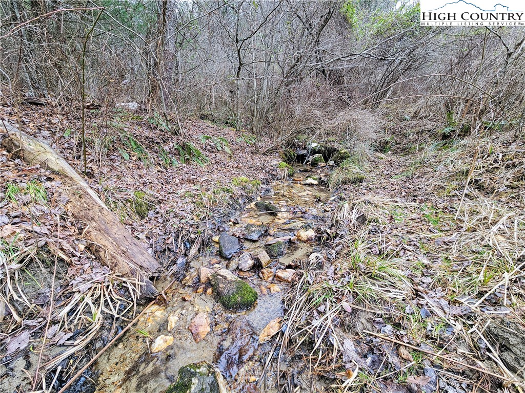 Phipps Road Sparta, NC 28675 - Photo 15 of 18 Gallery Image 15