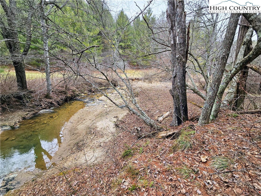 Phipps Road Sparta, NC 28675 - Photo 16 of 18 Gallery Image 16