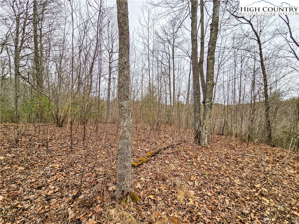Phipps Road Sparta, NC 28675 - Photo 18 of 18 Gallery Image 18