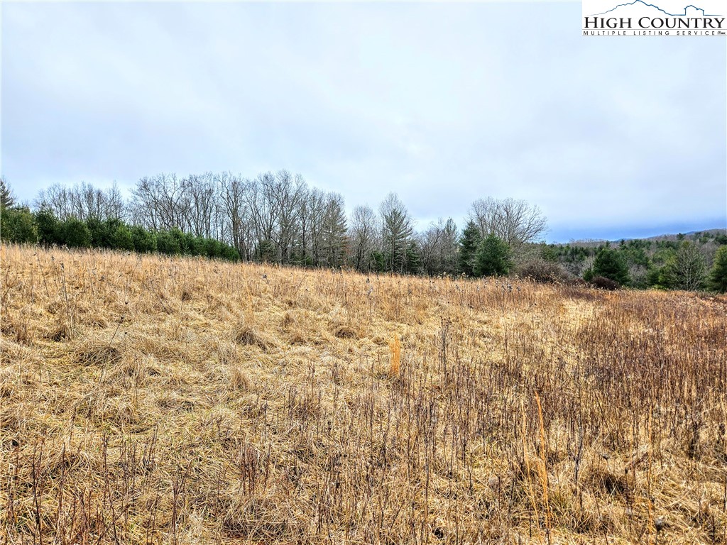 Phipps Road Sparta, NC 28675 - Photo 5 of 18 Gallery Image 5