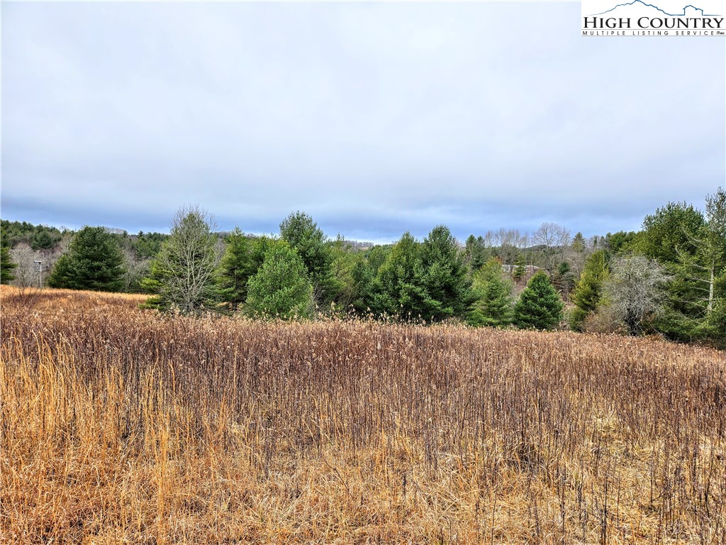 Phipps Road Sparta, NC 28675 - Photo 6 of 18 Gallery Image 6