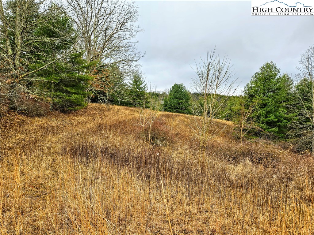 Phipps Road Sparta, NC 28675 - Photo 7 of 18 Gallery Image 7