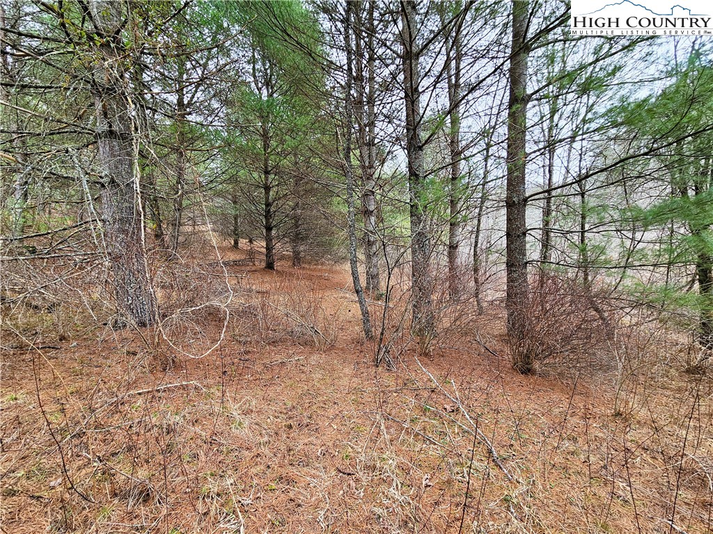 Phipps Road Sparta, NC 28675 - Photo 10 of 18 Gallery Image 10