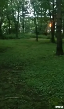 $55,000 | Elizabeth Street, Illiopolis, IL 62539