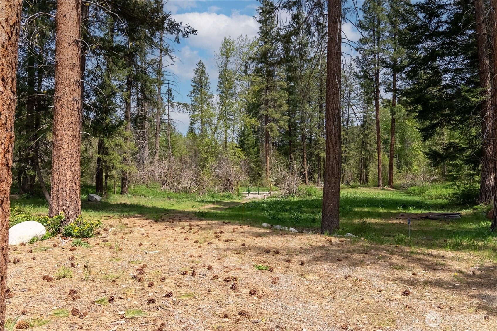 211 West Buttermilk Creek Road Twisp, WA 98856 - Photo 36 of 40 a backyard of a house with lots of green space