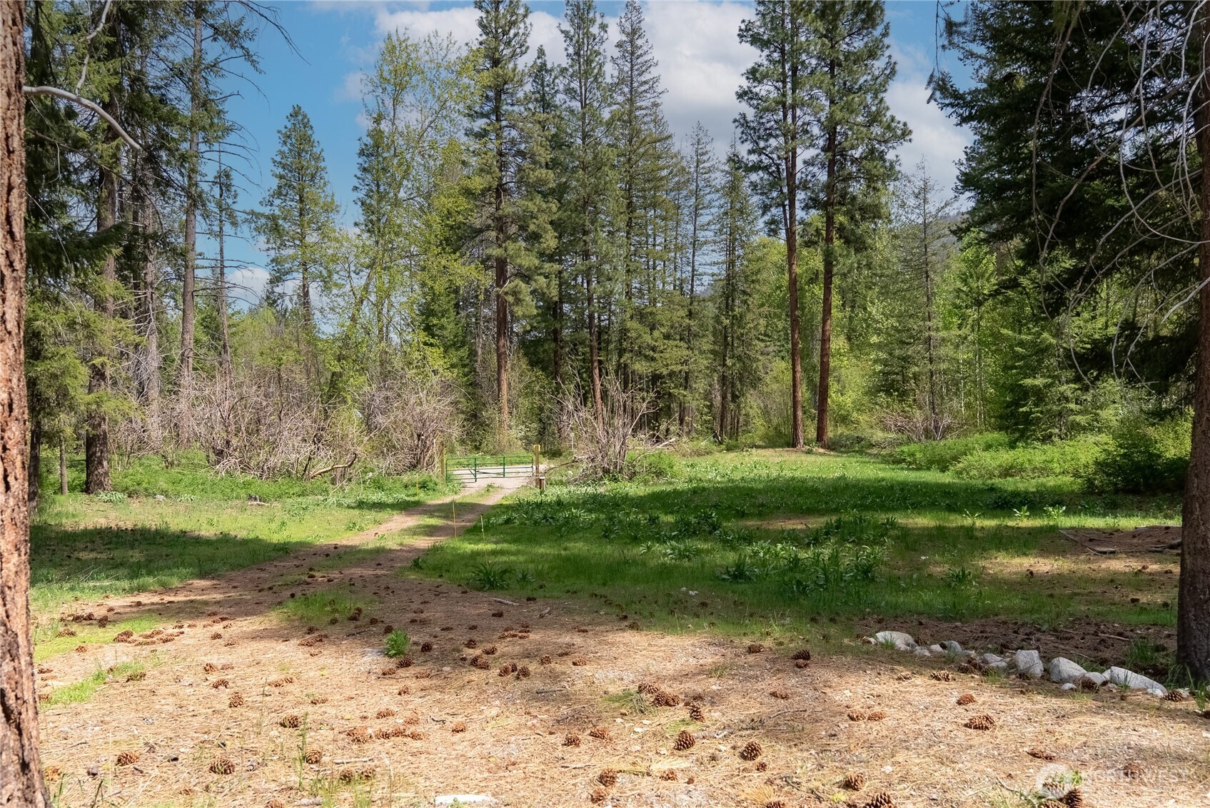 211 West Buttermilk Creek Road Twisp, WA 98856 - Photo 37 of 40 a view of a park