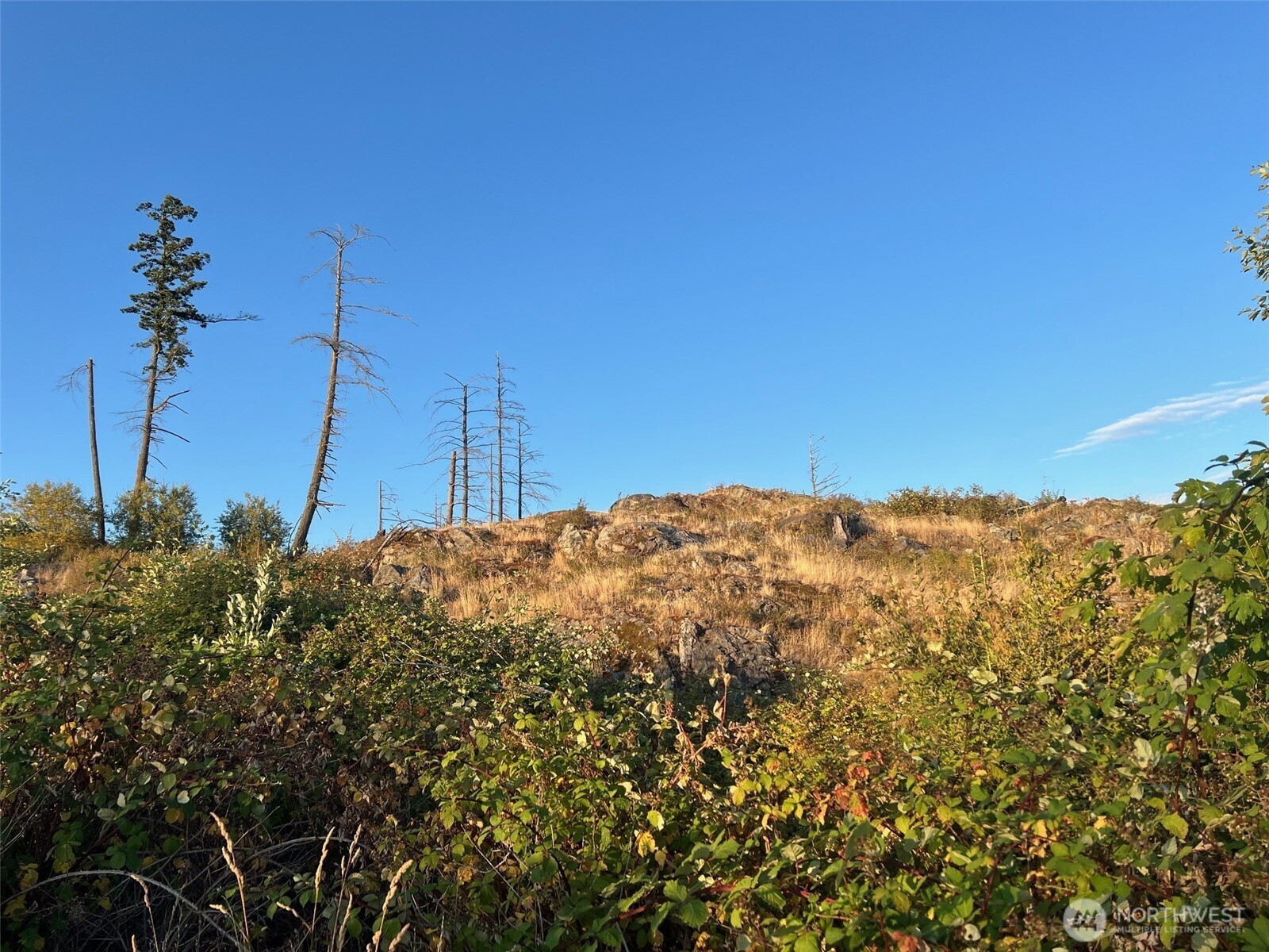 7006 State Rte 20 Anacortes, WA 98221 - Photo 16 of 21