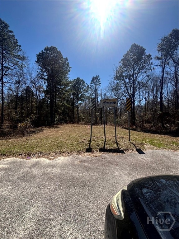 0 Parrish Drive Metter, GA 30439 - Photo 3 of 7