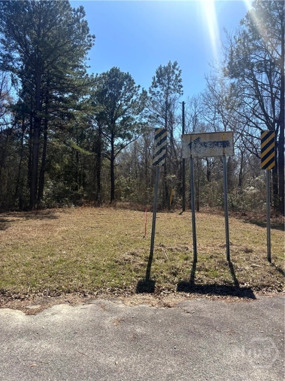 0 Parrish Drive Metter, GA 30439 - Photo 4 of 7