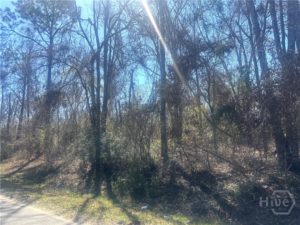 0 Parrish Drive Metter, GA 30439 - Photo 6 of 7