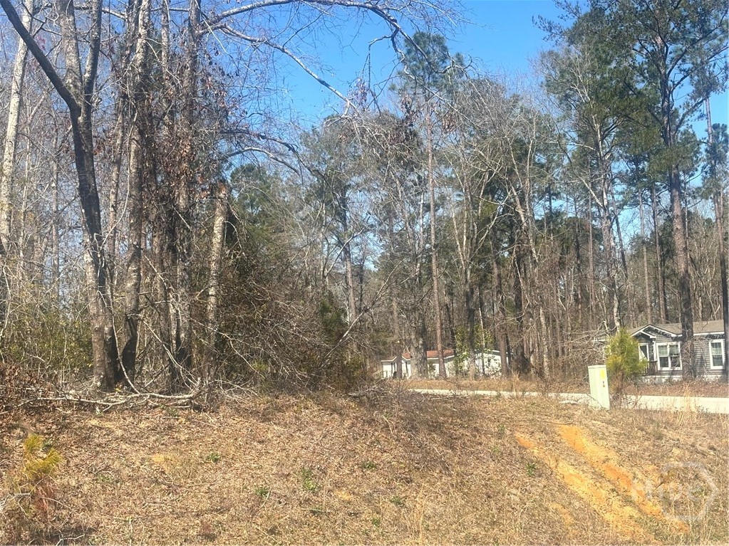 0 Parrish Drive Metter, GA 30439 - Photo 7 of 7